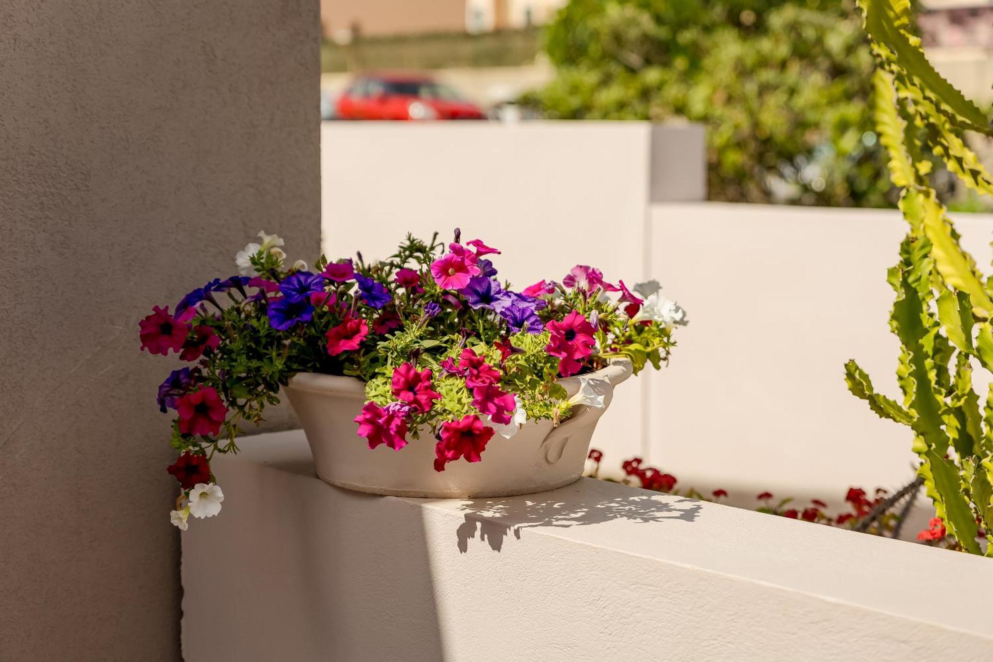 Sarpidon Suites Agia Marina Extérieur photo